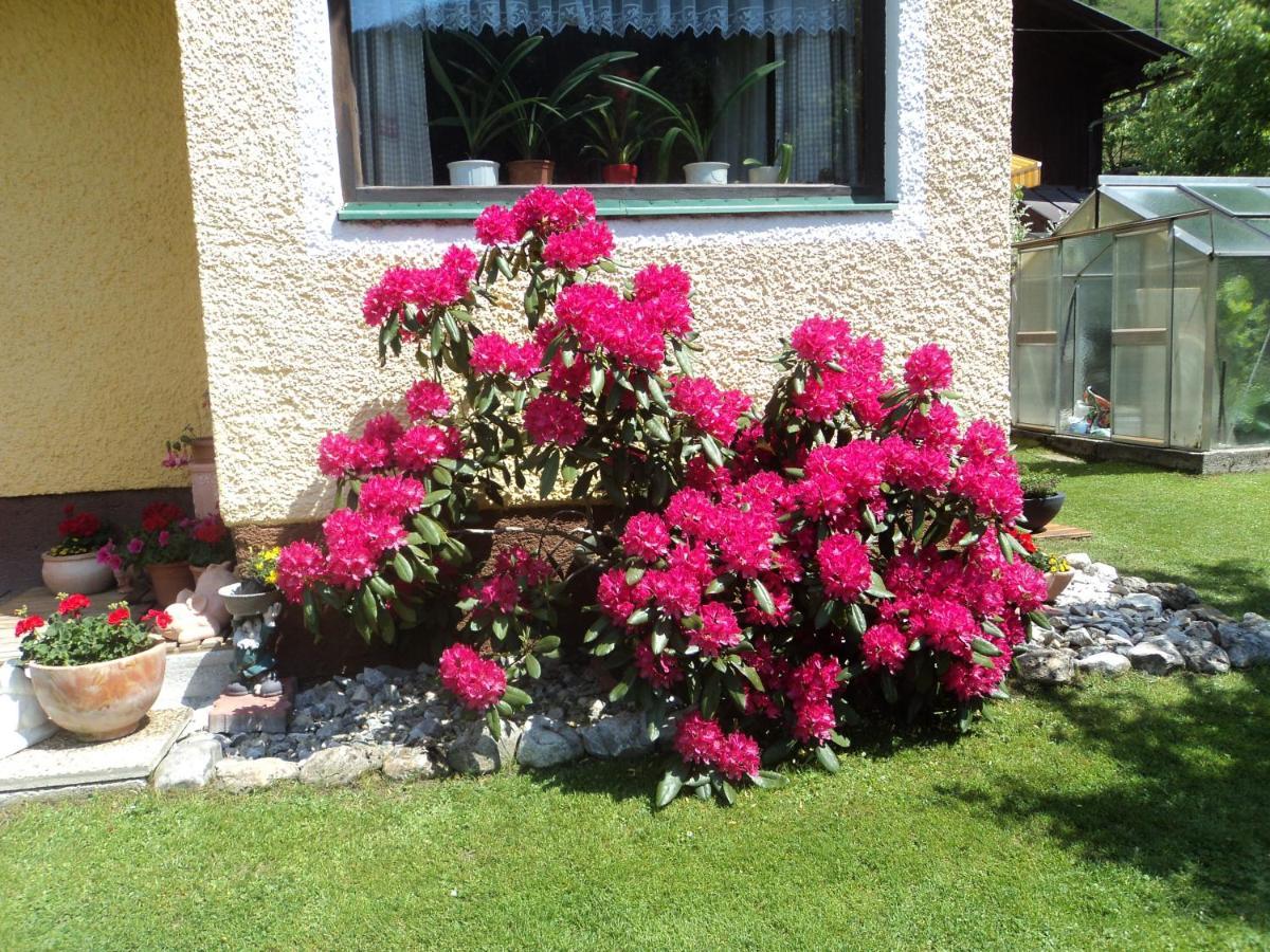Apartamento Gondelblick Wagrain Exterior foto